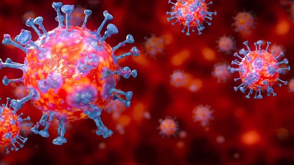علماء يتوصلون إلى الطفرات الصامتة لفيروس كورونا 