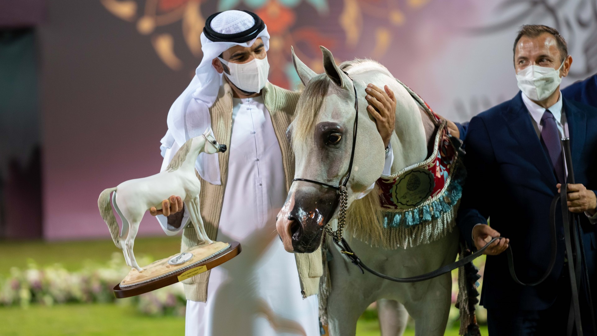 عمار النعيمي يشهد ختام النسخة 19 من بطولة عجمان لجمال الخيل العربية