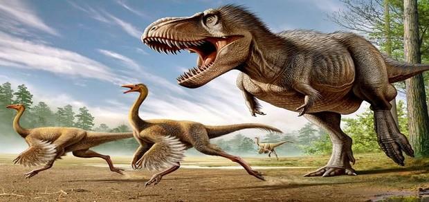علماء بريطانيون يتمكنون من فك شفرة الحمض النووي الديناصورات