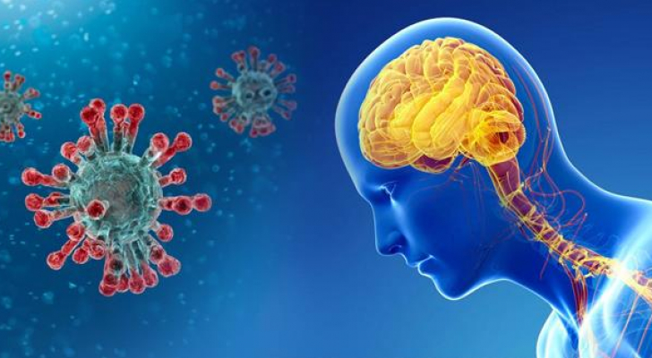علماء يكشفون أعراضا جديدة لكورونا في الدماغ