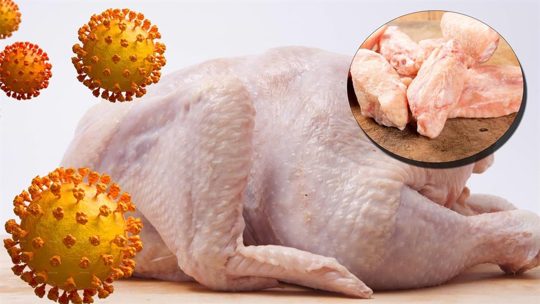 الصين تكتشف آثار "كورونا" في دجاج مجمد قادم من البرازيل