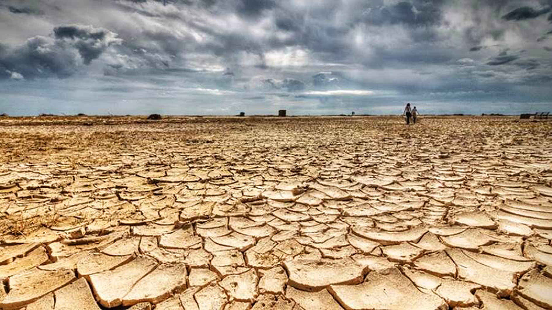 الجفاف في القرن الأفريقي يهدّد 20 مليون شخص