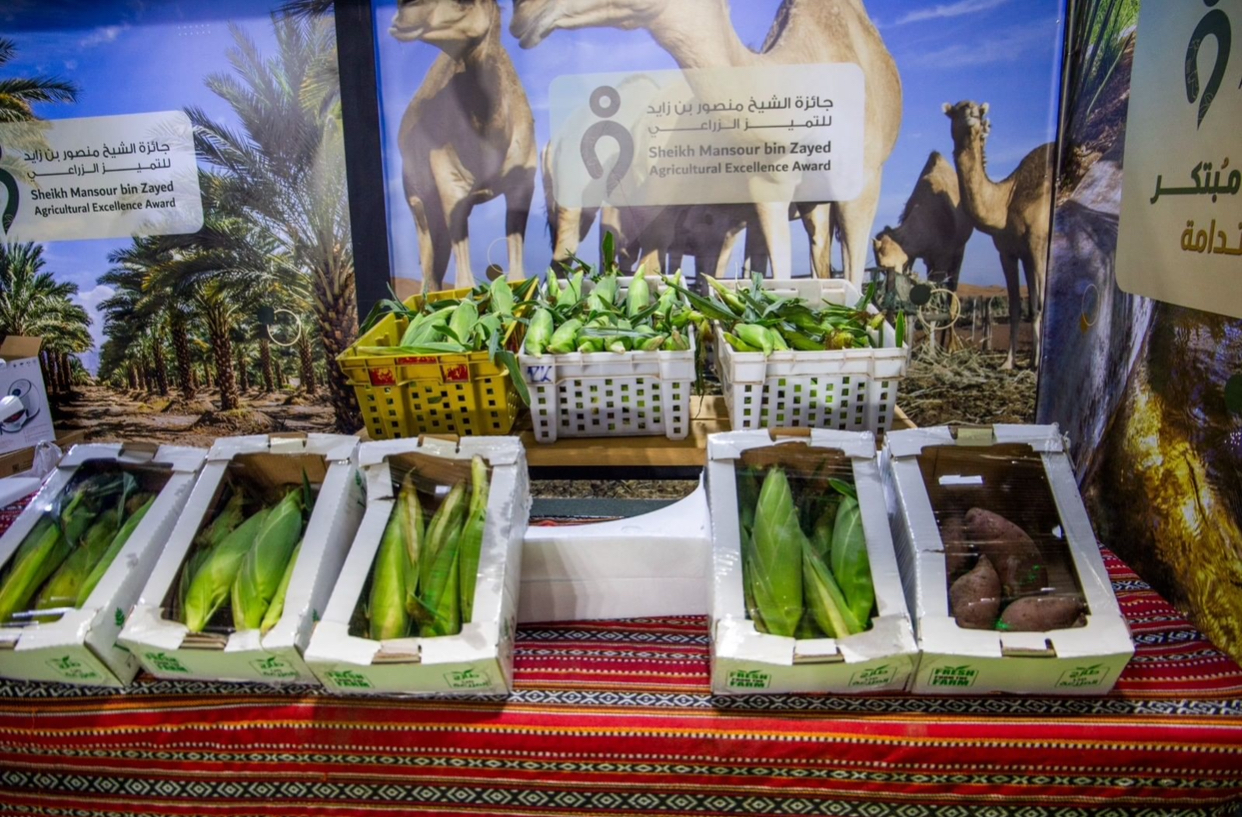 "مهرجان الذرة والبطاطا" في أبوظبي يوفر منصة لتعزيز الإنتاج المحلي