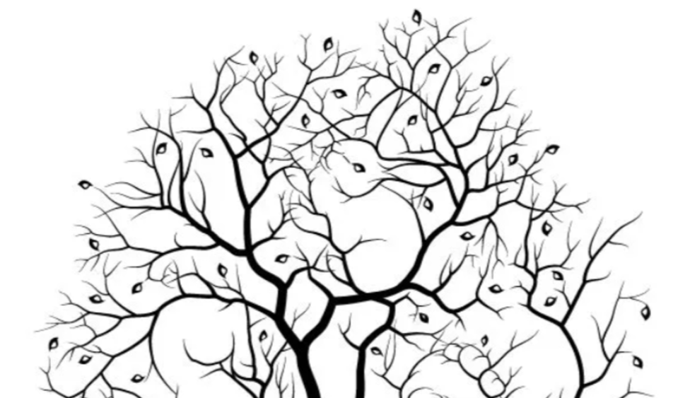هل تستطيع تحديد عدد الأرانب بهذه الشجرة؟