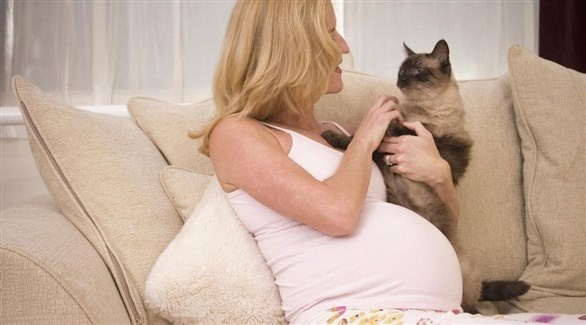 القطط تهدد المرأة الحامل والجنين.. ما هي المخاطر؟