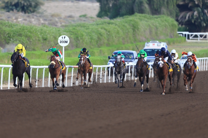 ثنائية لخيول حمدان بن راشد في سباق «ند الشبا» بـ «جبل علي»