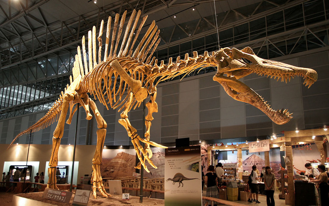 إجراء أضخم صفقة في العالم لبيع عظام ديناصور بـ31.8 مليون دولار 