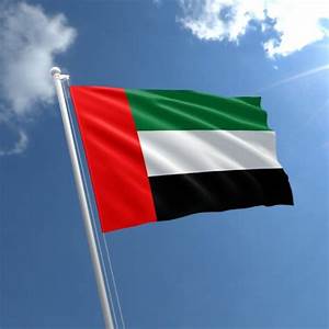الإمارات الأولى عربيا في مؤشر نضوج الخدمات الحكومية الإلكترونية والنقالة 