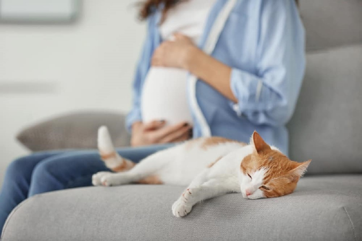 طبيب يحذر النساء من النوم إلى جانب القطط