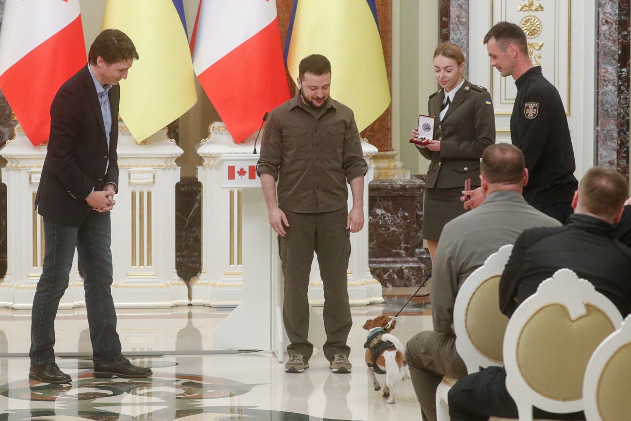 زيلينسكي يكرم الكلب باترون مع فريق إزالة الألغام