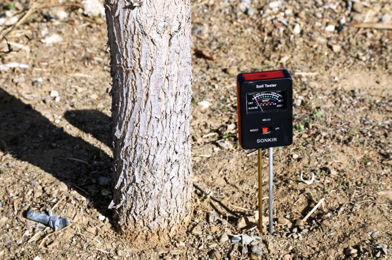 جهاز يقيس نسبة رطوبة التربة في المعرض الافتراضي لبلدية العين