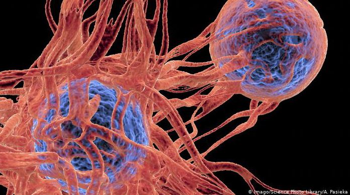لماذا ينوي الباحثون إرسال خلايا سرطانية إلى الفضاء؟