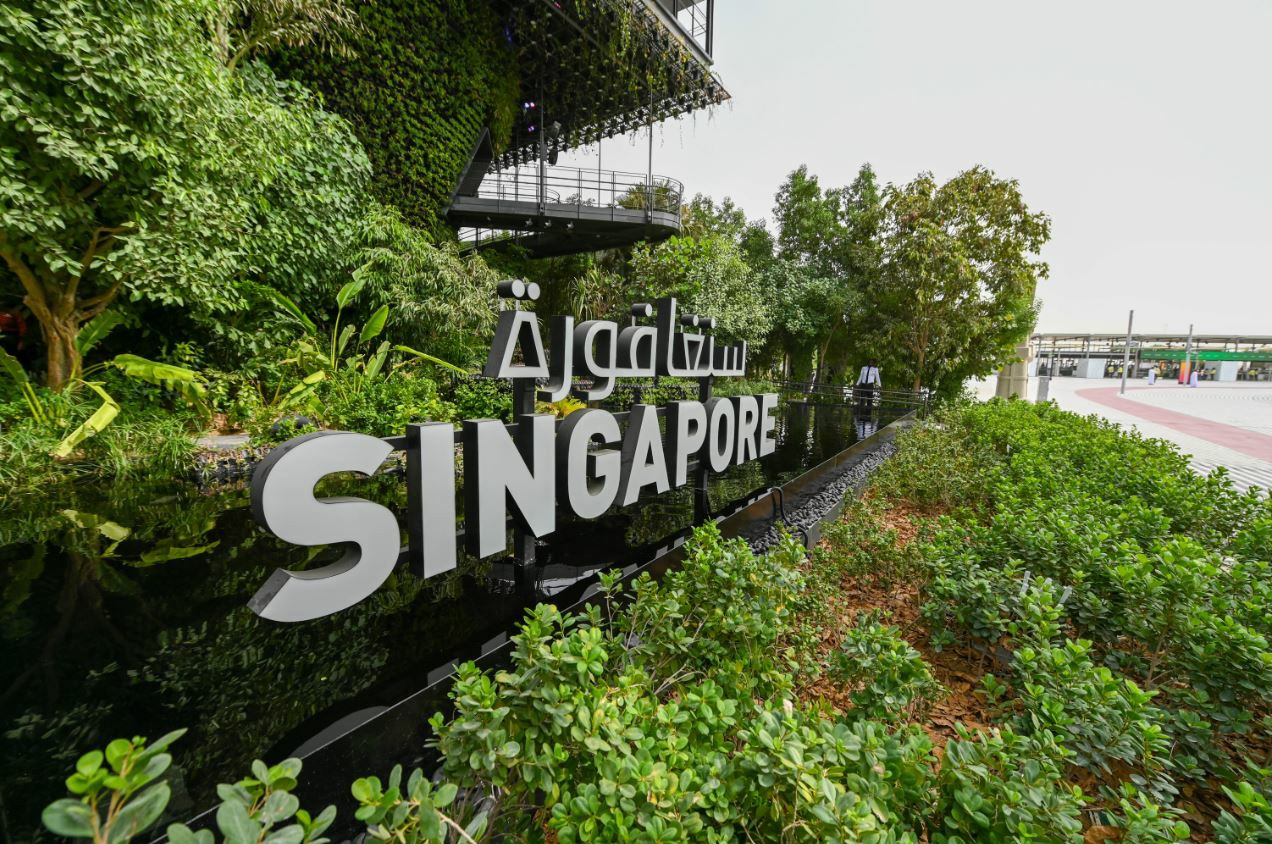 سنغافورة.. زهرة أوركيد جديدة في إكسبو 2020 دبي