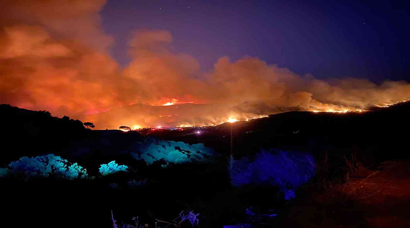 النيران تلتهم 600 هكتار من غابات كاليفورنيا